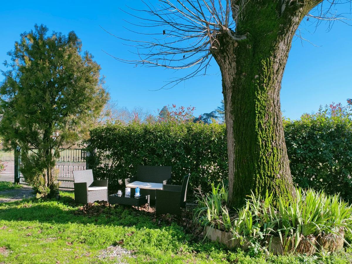 Il Tiglio B&B Dozza Exterior photo